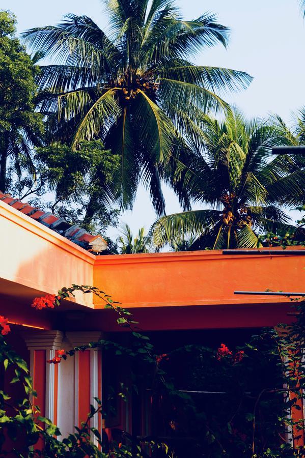 Allens Home Stay Jápané Exteriér fotografie