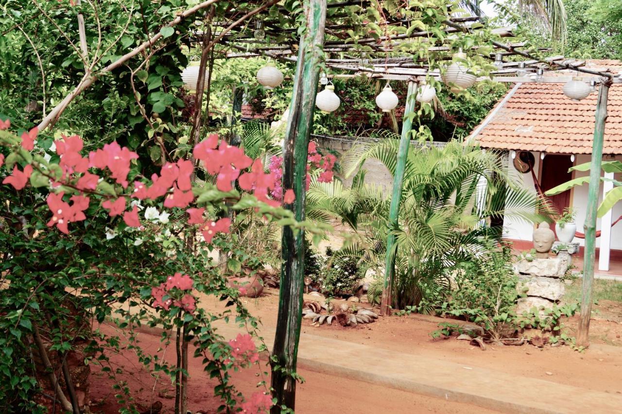 Allens Home Stay Jápané Exteriér fotografie